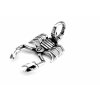 řetízek a přívěsek, náhrdelník - chirurgická ocel - škorpion