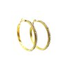 zlaté náušnice - chirurgická ocel - kruhy
