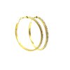 zlaté náušnice - chirurgická ocel - kruhy