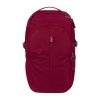Městský batoh BAAGL Dash Burgundy - 24 L
