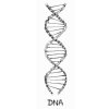 Tričko DNA (Navy)