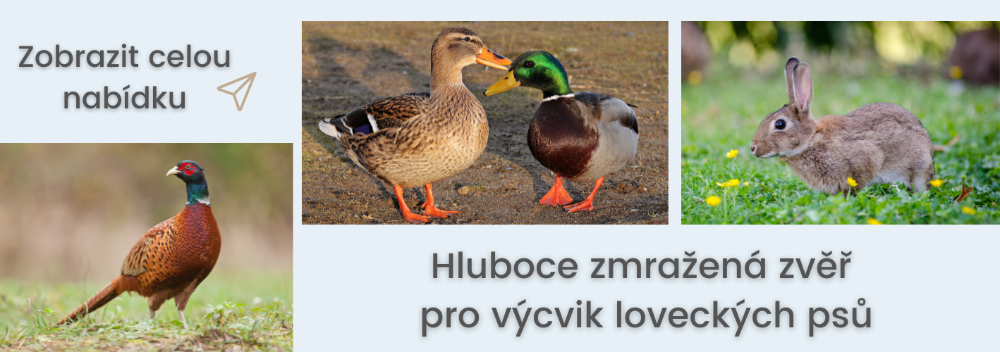 Lovecká nová