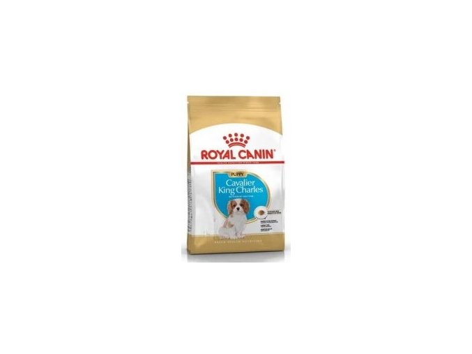 Royal Canin Breed Kavalír King Charles Junior  1,5kg