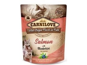 Carnilove Dog Pouch Paté Salmon & Blueberries Puppies 300g