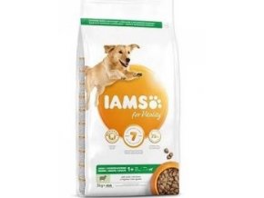 Iams Dog Adult Large Lamb