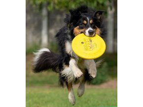 Gori a frisbee 01