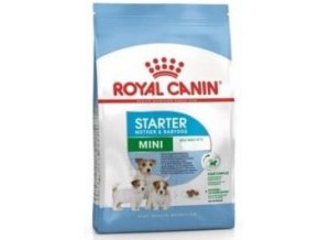 Royal Canin Mini Starter