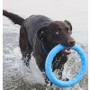 PitchDog tréninkový Kruh pro psy modrý