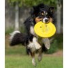 Gori a frisbee 01