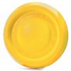 Pěnové frisbee