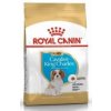 Royal Canin Breed Kavalír King Charles Junior  1,5kg