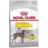Royal Canin Maxi Dermacomfort  10kg