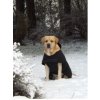 Obleček Rehab Dog Blanket Softshell 55 cm