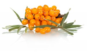 Ing. Martin Stromšík