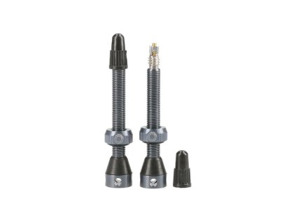 Tubolight GRAY VALVES PAIR (VVGRY)
