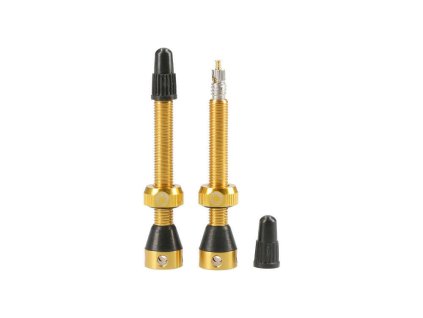Tubolight GOLD VALVES PAIR (VVGLD)