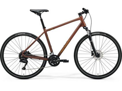 24CT100XS