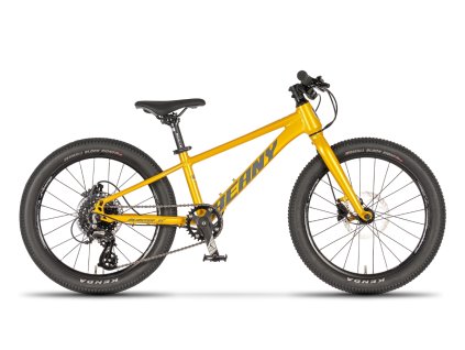 Beany Blaster XC 20 gold 2025