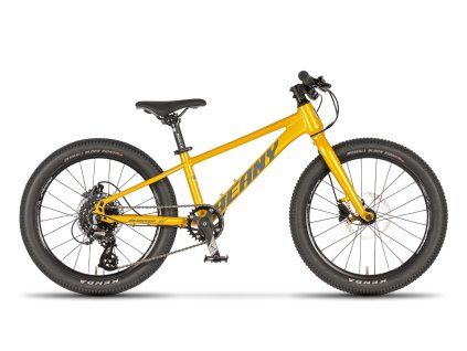 Beany Blaster XC 20 gold 2026