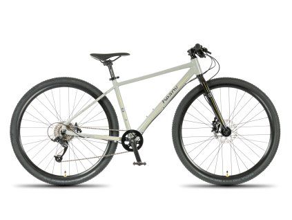 Beany Zero 29 Gray 2026 (Velikost 17", Rok 2026)