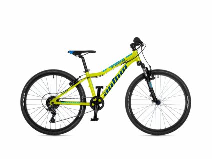 42954031 a matrix 24