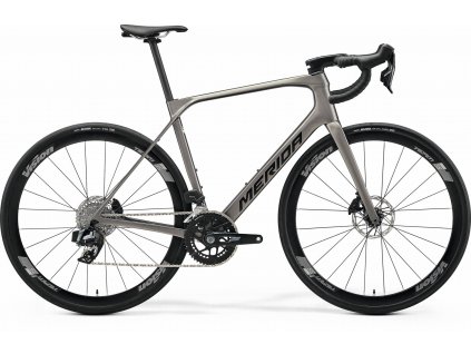 Merida SCULTURA ENDURANCE RIVAL EDITION Warm Slate Grey(Black) 2026 (Velikost M, Rok 2026)