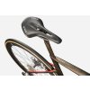 Cannondale SuperSix EVO Hi-MOD LAB71 Burnt Pewter 2024 (Velikost 48, Rok 2024)