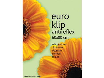 euroklip 60x80 cm antireflex