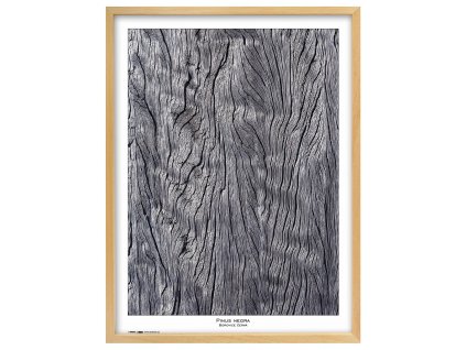 Rámeček natura přírodní 60x80