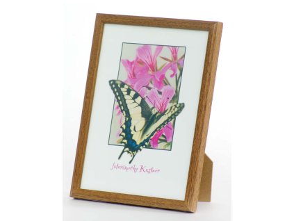 MONTANA  Na foto 6x8 - 21x30cm