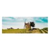 panorama 23x60cm