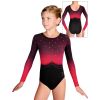 Gymnastický dres D37d t277 f195 černočervená