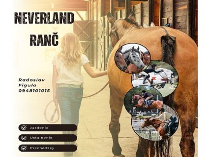 Brown Modern Horse Riding Instagram Post