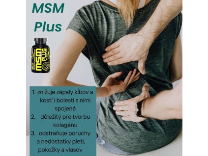 MSM Plus 120 tbl.