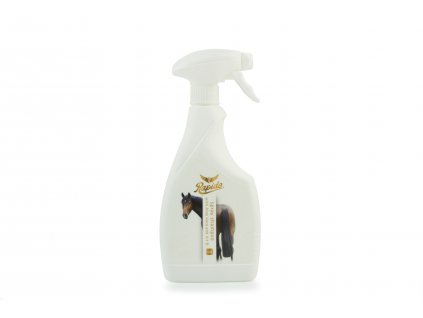 Rapide Spray Shampoo 500 ml