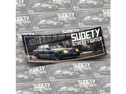 sudety street fighter