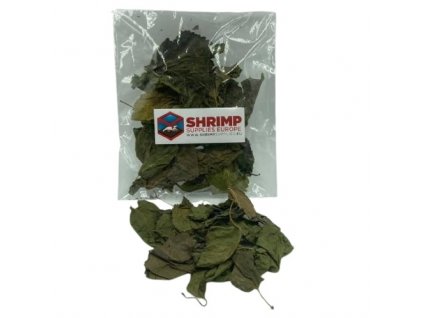 shrimp supplies mulberry leaves