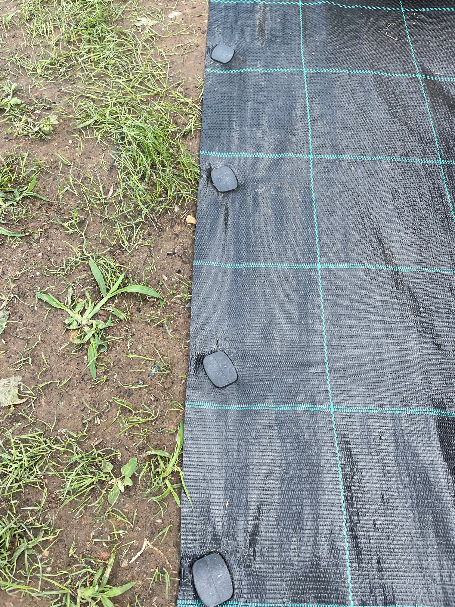GTEX Plastové kotvící kolíky do země 15cm – balení 50 ks ZAHRADA Sklad6 2950