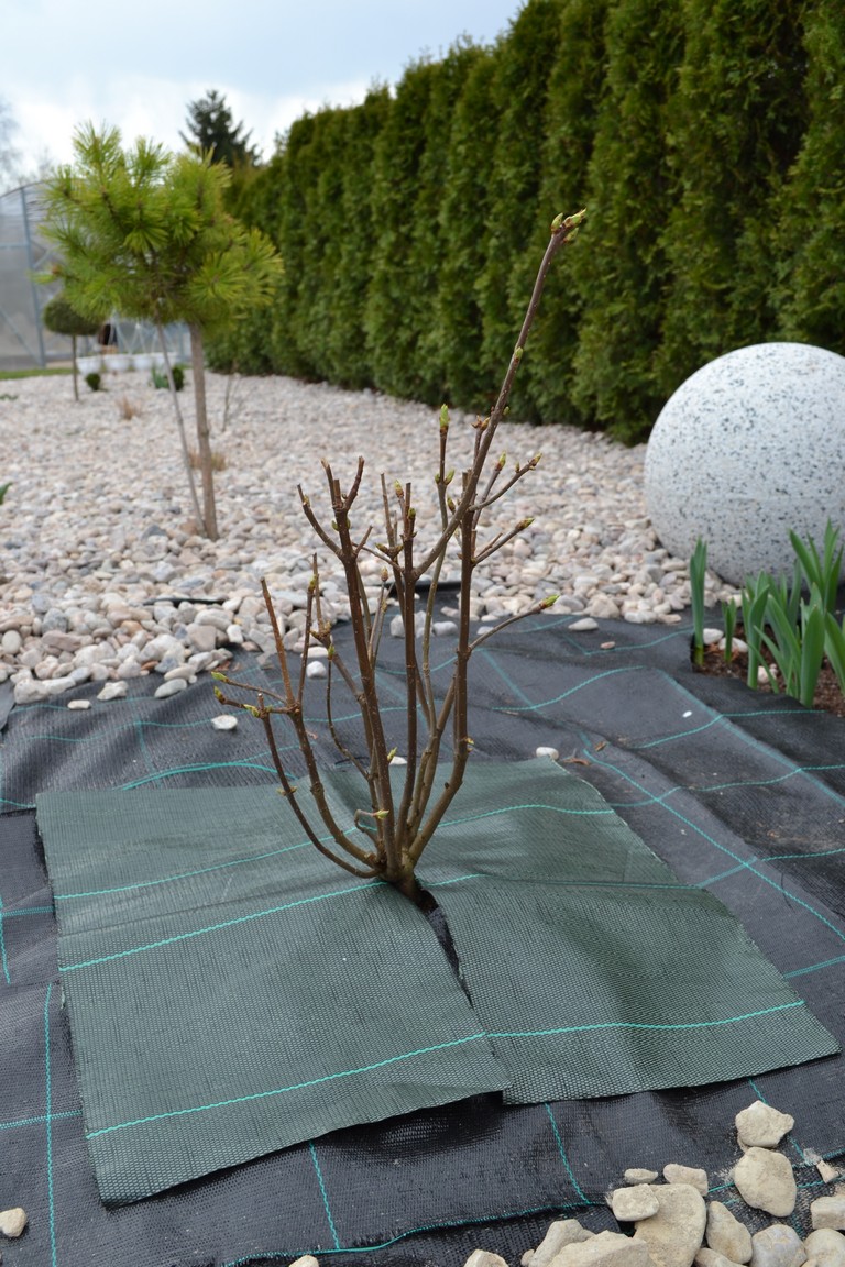 Agrojutex Tkaná mulčovací plachetka 30 x 30 cm - černá ZAHRADA Sklad6 0629