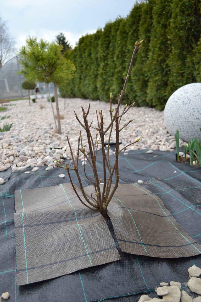 Agrojutex Tkaná mulčovací plachetka 50 x 50 cm - černá ZAHRADA Sklad6 0632 >100