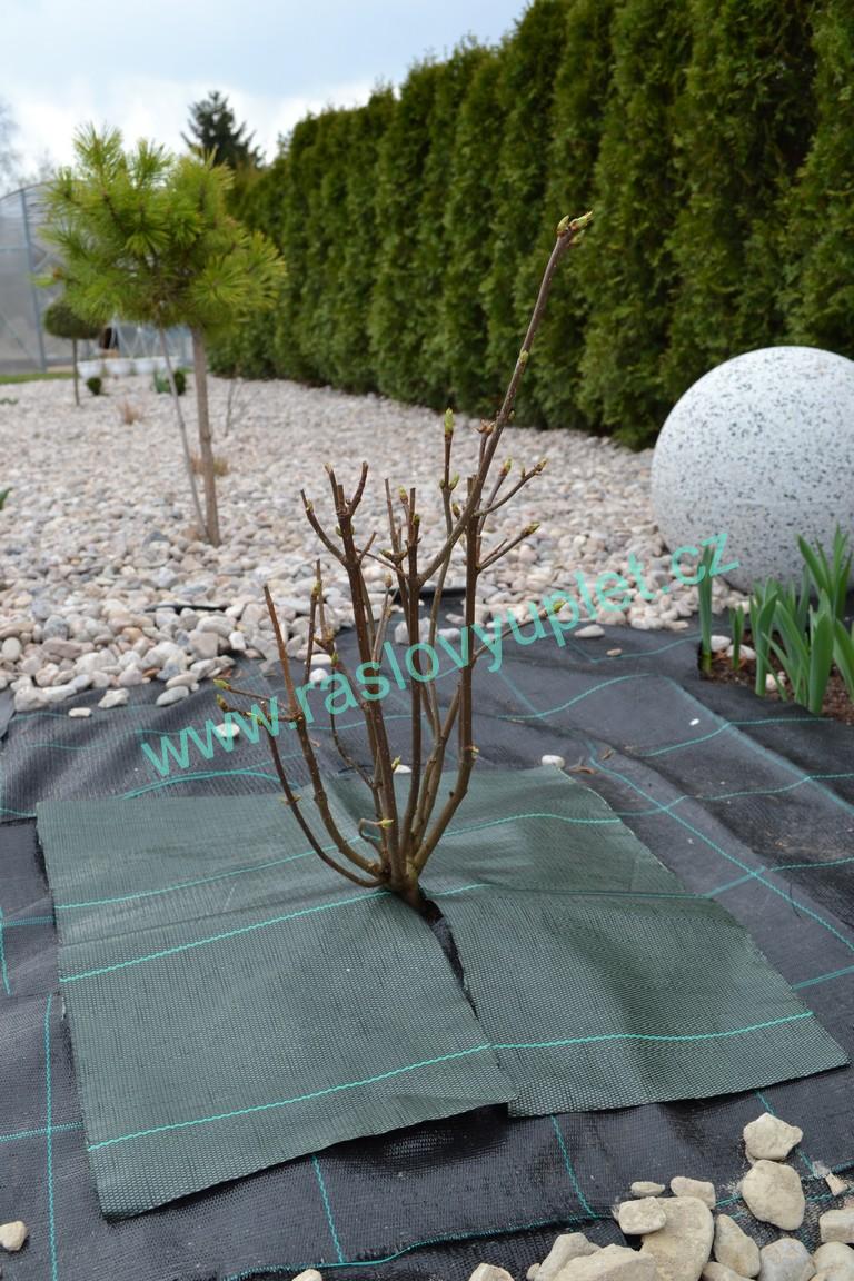 Agrojutex Tkaná mulčovací plachetka 50 x 50 cm - černá ZAHRADA Sklad6 0632