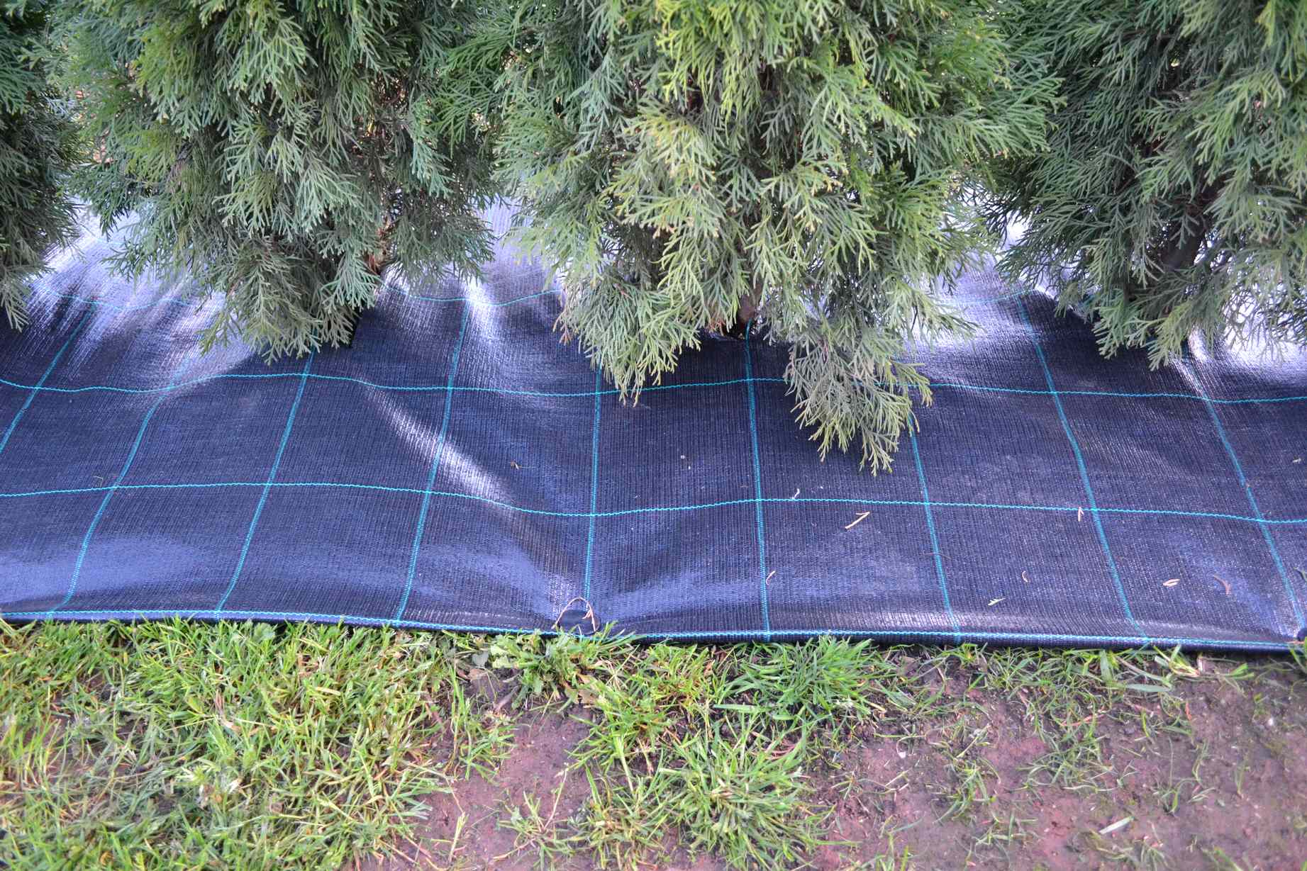 Agrojutex Tkaná textilie, agrotextilie 100g/m2, 5m x 2m - černá ZAHRADA Sklad6 0309