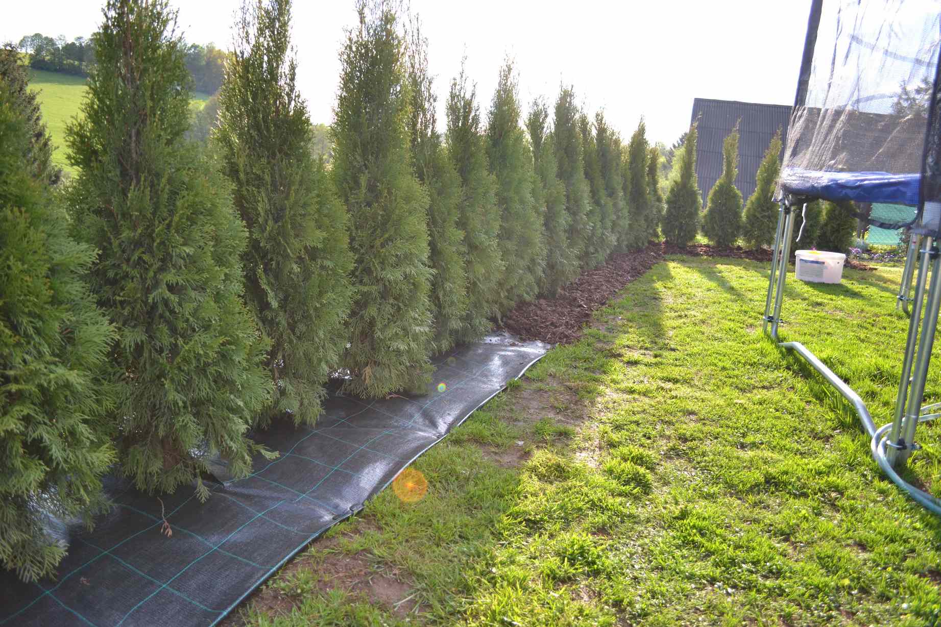 Agrojutex Tkaná textilie, agrotextilie 100g/m2, 5m x 2m - černá ZAHRADA Sklad6 0309