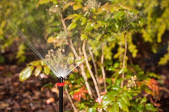 GTEX Hlavice postřikovače rozptyl 90°, na 6mm postřikovač - červeno / černý ZAHRADA Sklad6 0565 >100