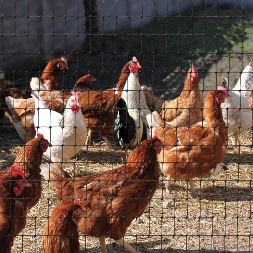 TENAX Síť proti dravcům - Ochranná síť pro drůbež 14m x 3,8m ZAHRADA Sklad6 0822 >100