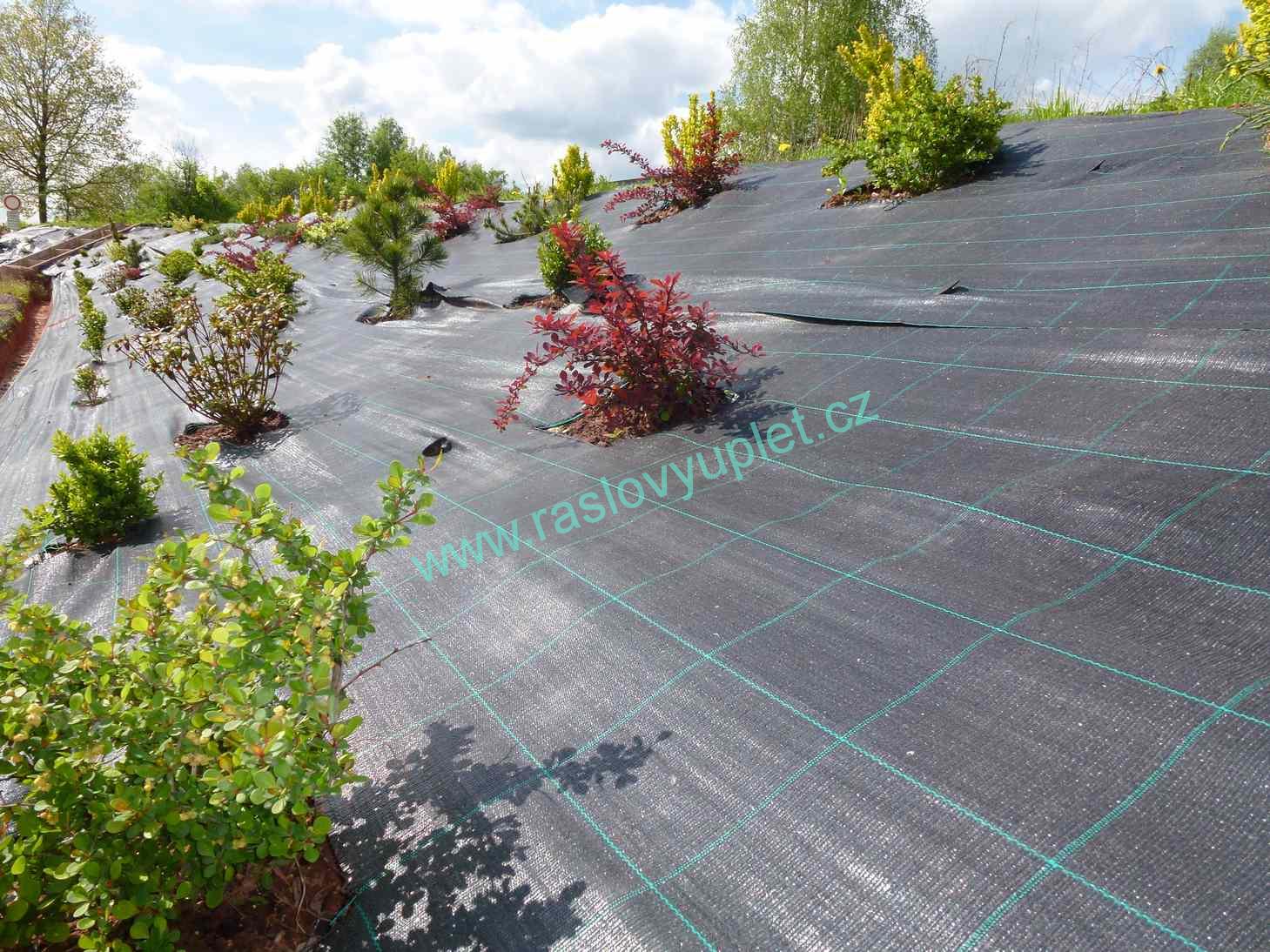 Agrojutex Tkaná textilie, agrotextilie 100g/m2, 50m x 0,5m - černá ZAHRADA Sklad6 0304 >100