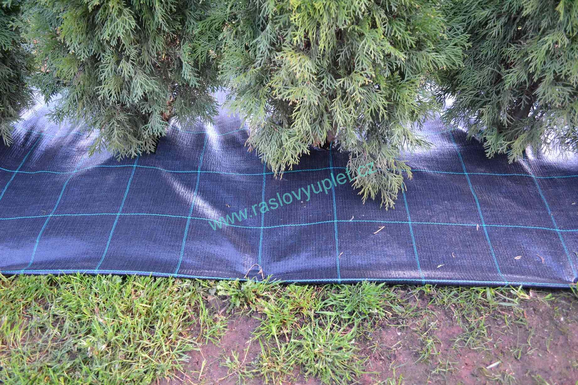 Agrojutex Tkaná textilie, agrotextilie 100g/m2, 50m x 0,5m - černá ZAHRADA Sklad6 0304
