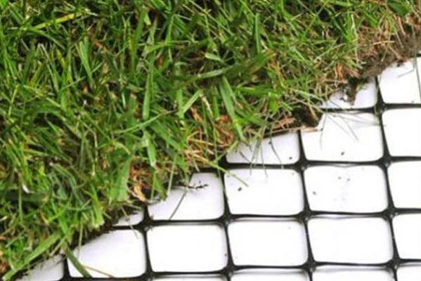 GTEX Síť proti krtkům 16 x 16 mm - 10 x 2m ZAHRADA Sklad6 1995