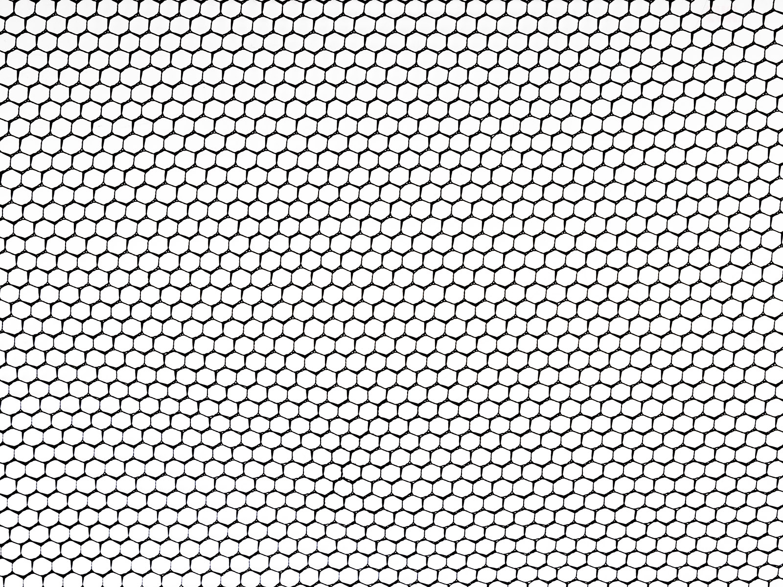 Strend Pro Síť okenní proti hmyzu 150x180 cm, černá, PE ZAHRADA Sklad6 1646