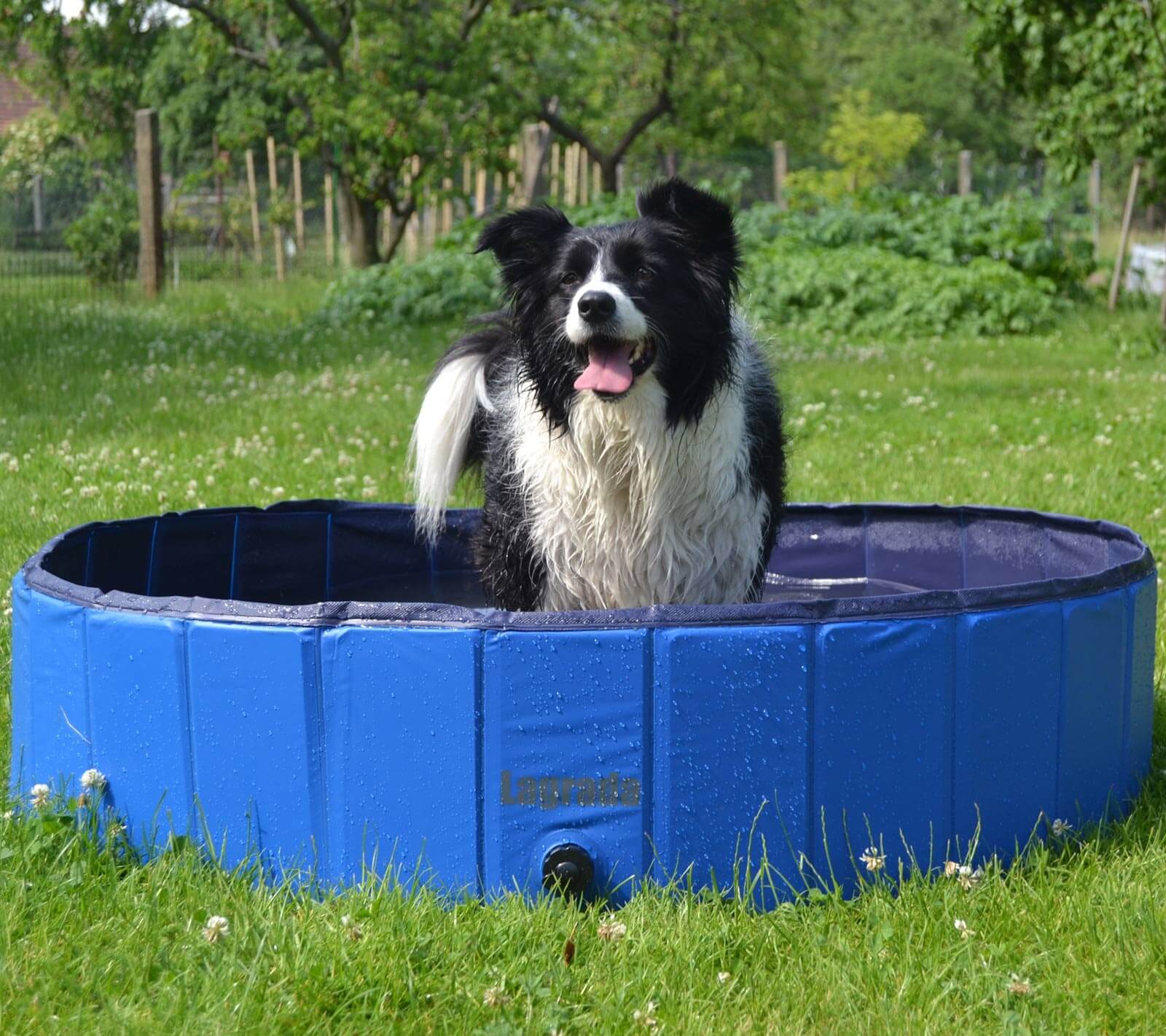 Bazén pro psy Lagrada 160 x 30 cm - skládací 2102 ZAHRADA Sklad6 2102 100